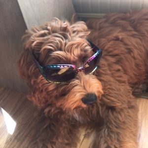 Meet your Posher, Nikki